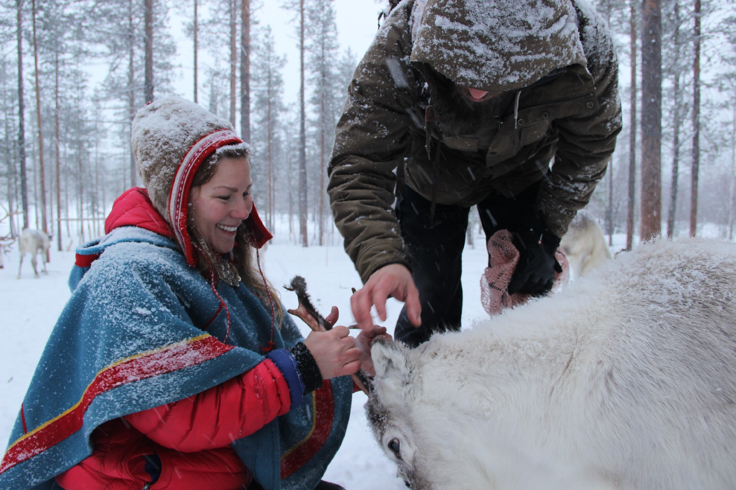 Immersion in Sami land