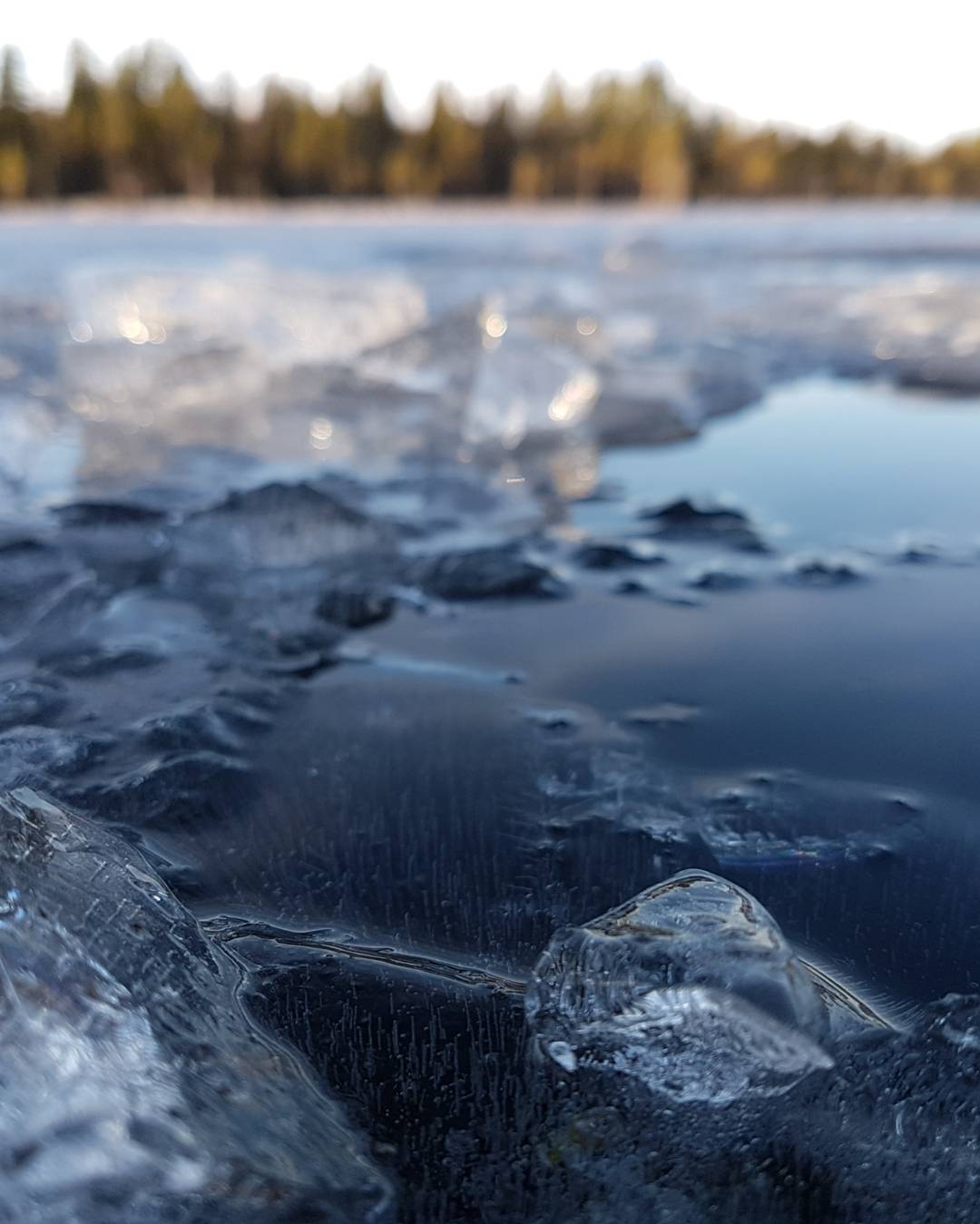 Slowly but surely, the lakes freeze while the winter is comes