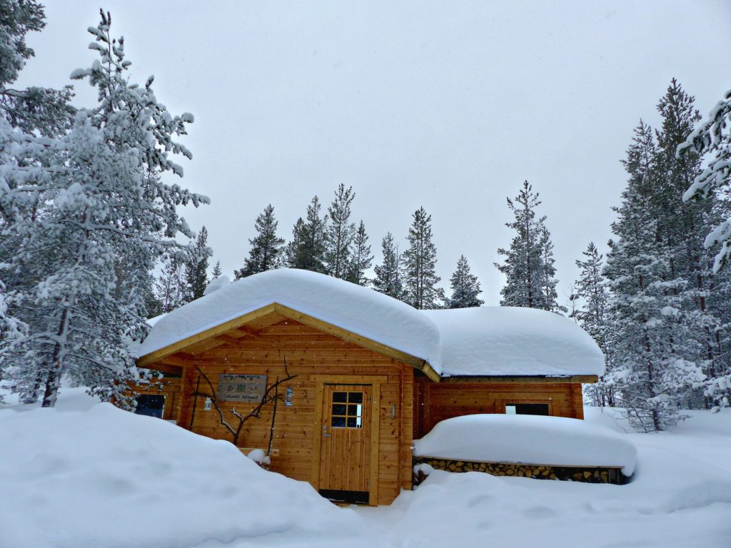 Séjour en Laponie suédoise, dans un camp au coeur de la forêt boréale
