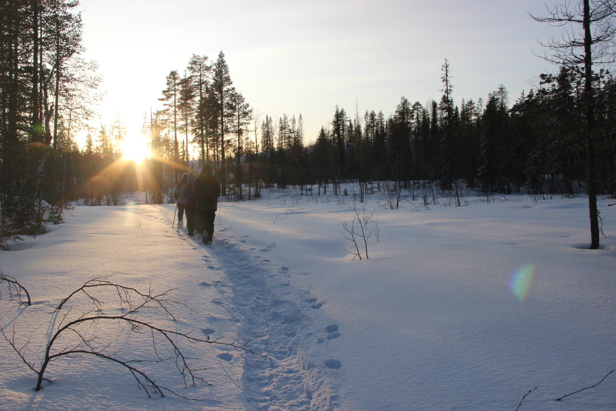 Nouvel an en Laponie